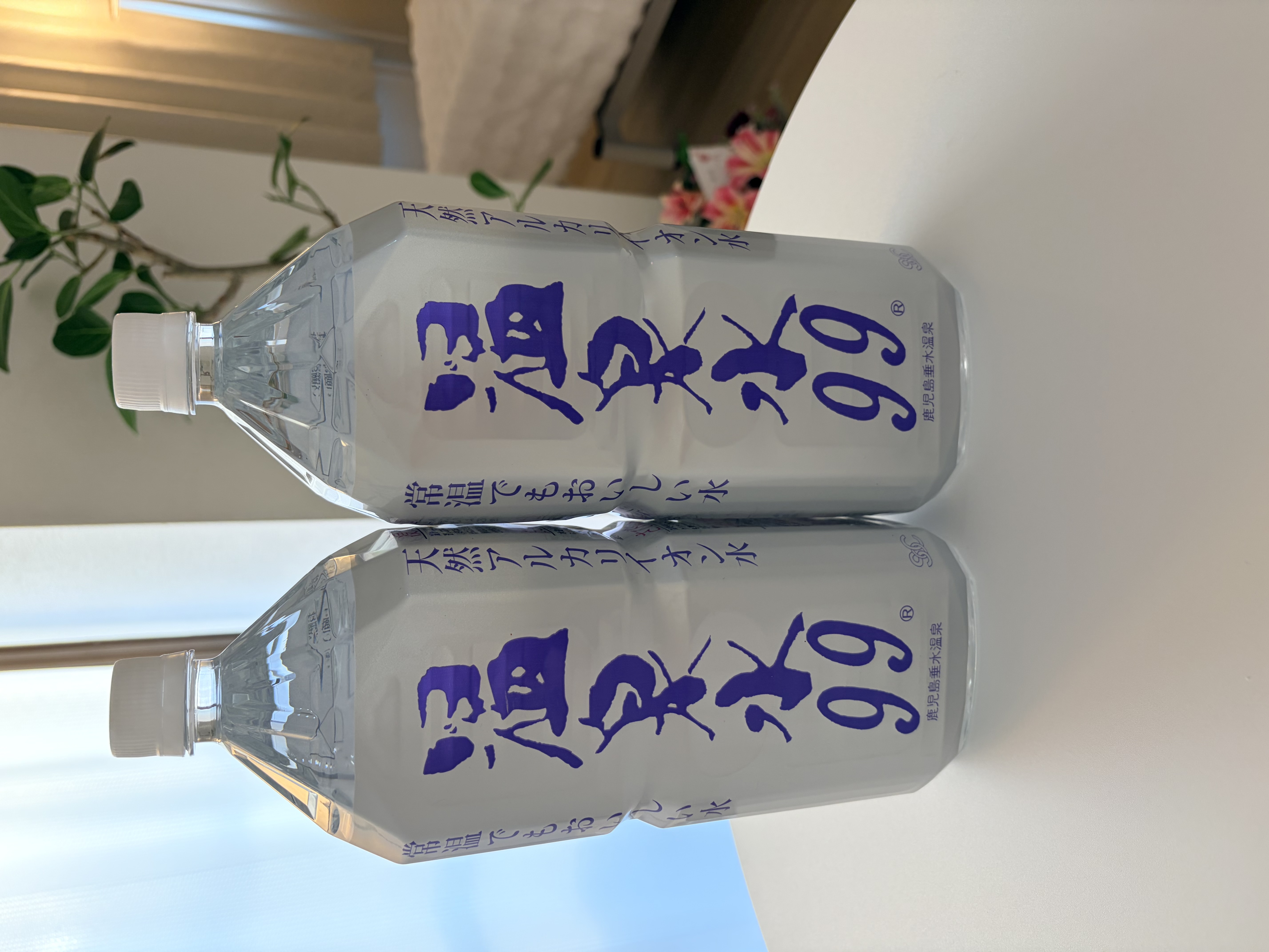 メニューの写真